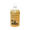 ESSENTIAL SHAMPOO - GREASY HAIR 500ML